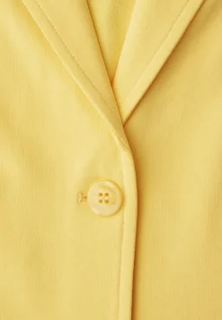 Basis blazer