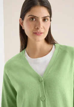 Basis vest
