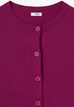 Basis vest