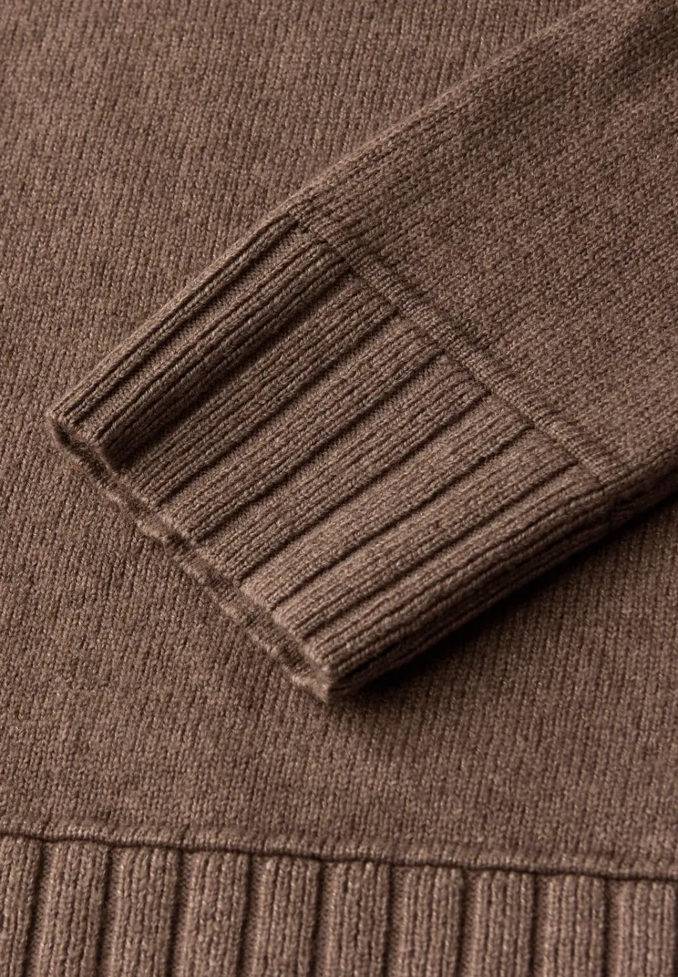 Basistrui