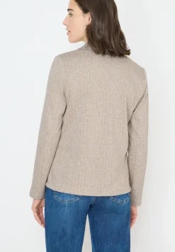 Blazer visgraat