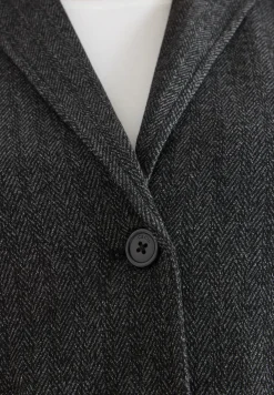 Blazer visgraat