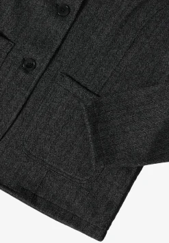 Blazer visgraat