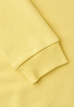 Hoodie in effen kleur