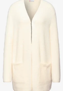 Lang vest van verengaren