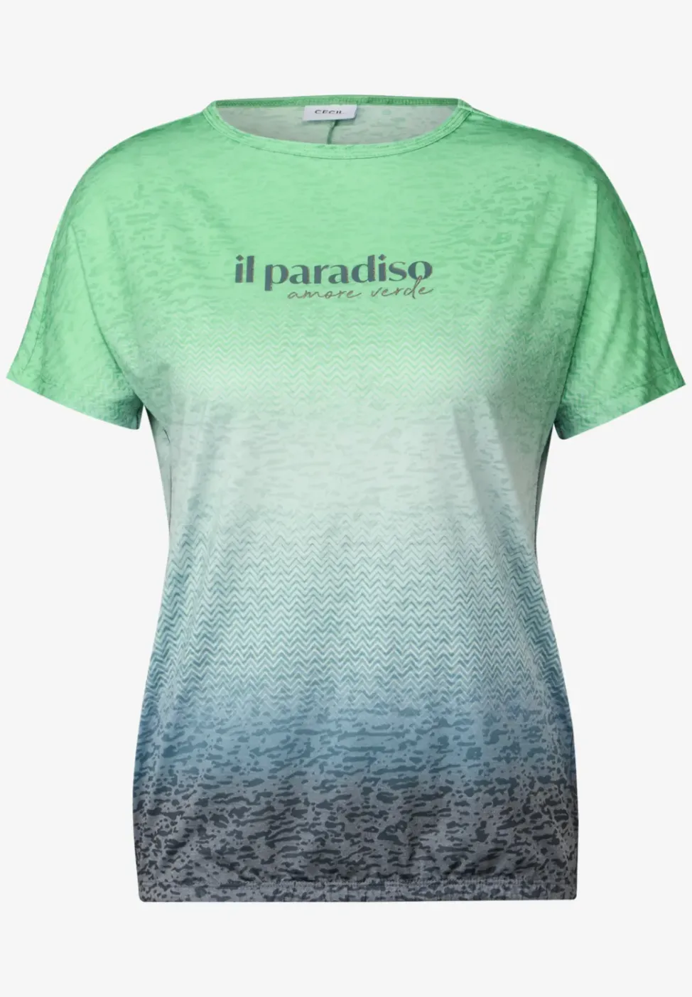 Shirt met kleurverloop