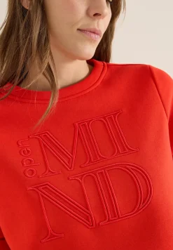 Sweater met borduursel