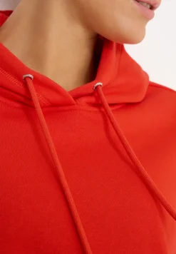 Sweater met capuchon