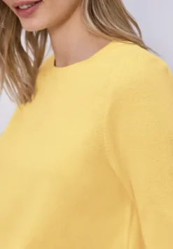 Trui in effen kleur
