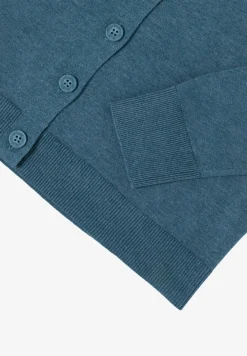 V-hals vest